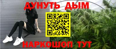 индика Ливны