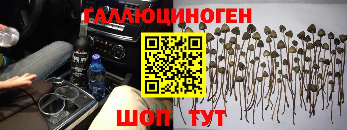 Галлюциногенные грибы мицелий Владимир